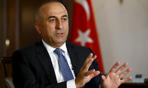 Turkey calls for a campaign against IS  - ảnh 1